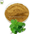 High Quality Peppermint Extract Natural Peppermint